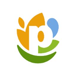 PepsiCo PepsiCo